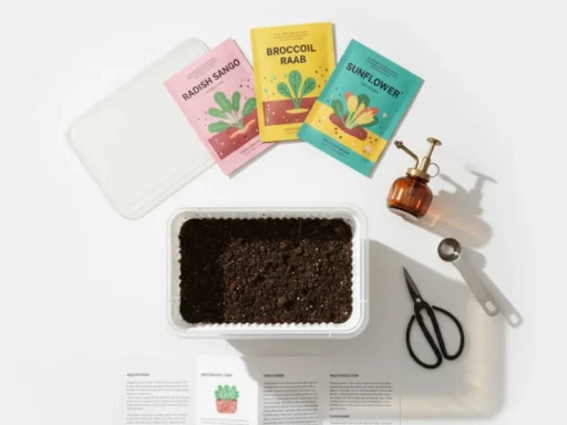 Microgreens growing kit with tray seeds and growing medium