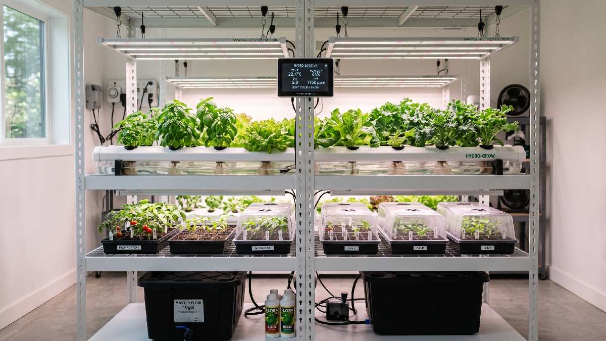 An advanced indoor gardening setup with hydroponics, humidity monitor, grow lights, and seed trays on modern white shelving. 