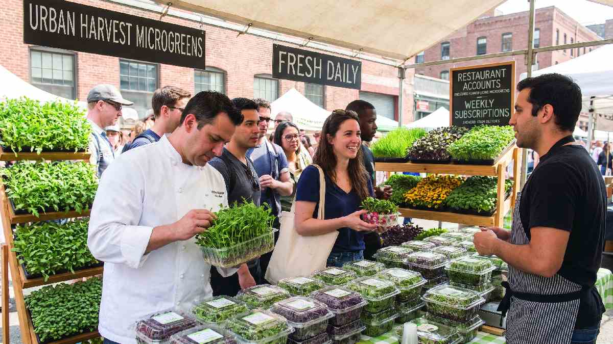 Restaurants and health buyers create steady demand, making microgreens a strong choice for regular small-scale sales.