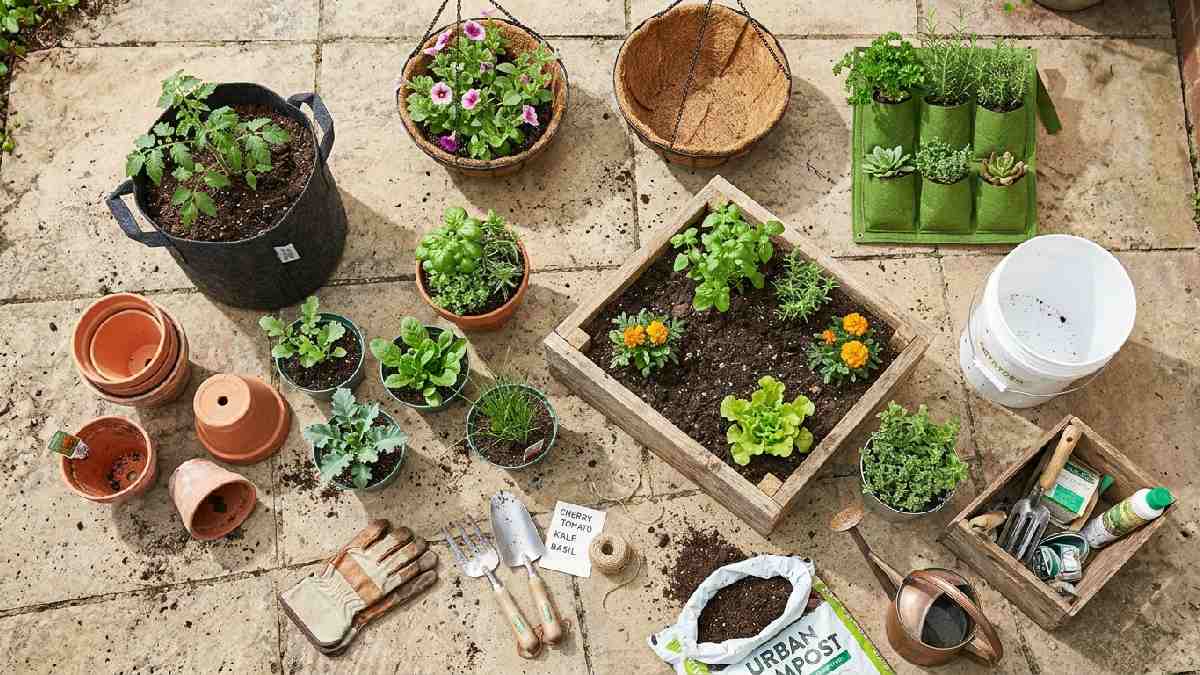 Urban farming container selection showing fabric grow bags terracotta pots plastic containers wooden raised beds vertical wall planters and hanging baskets.