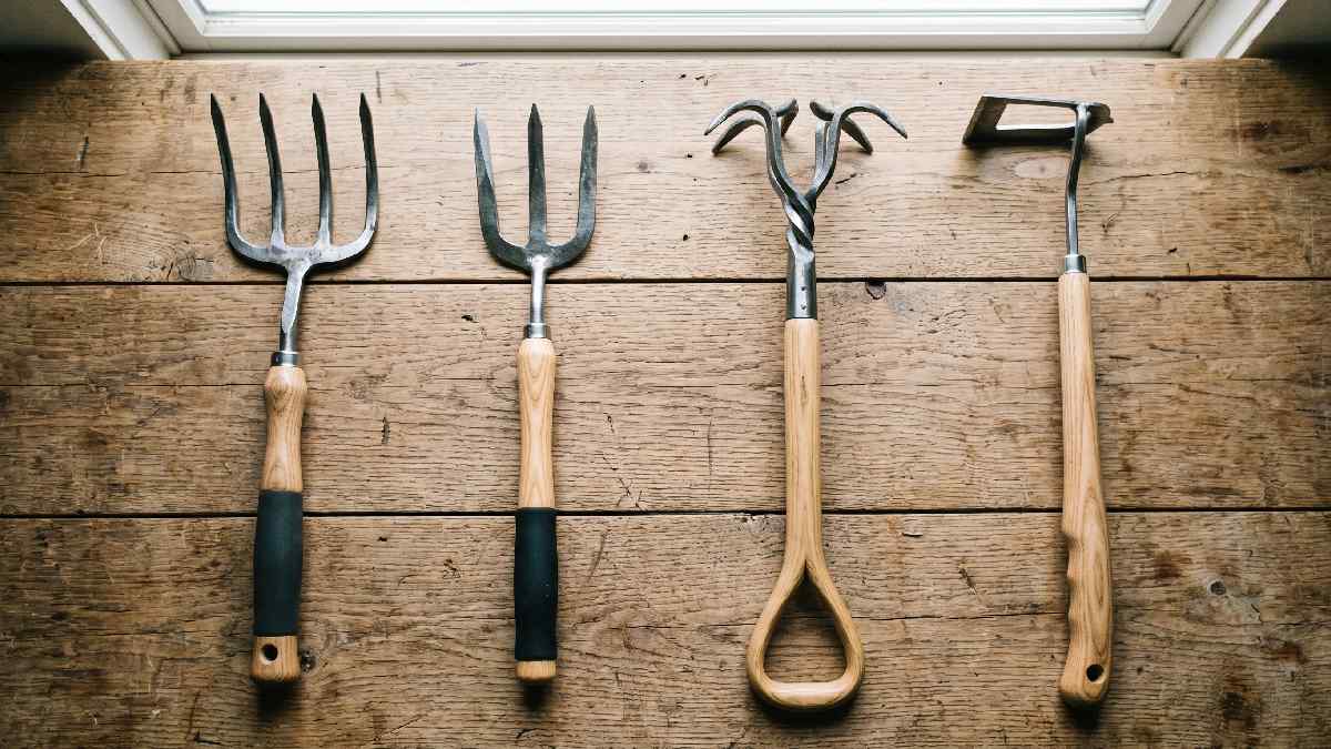 Four types of long handle garden cultivators including 4-tine 3-tine twist claw and stirrup hoe arranged side by side on wood. 