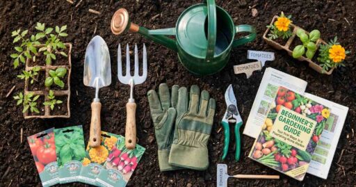 What Tools Do I Need to Start a Garden?
