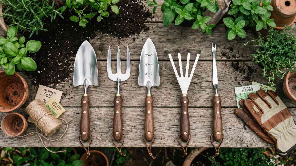 Premium quality garden hand tools set including trowel fork weeder and rake arranged neatly on wooden surface with green plants.