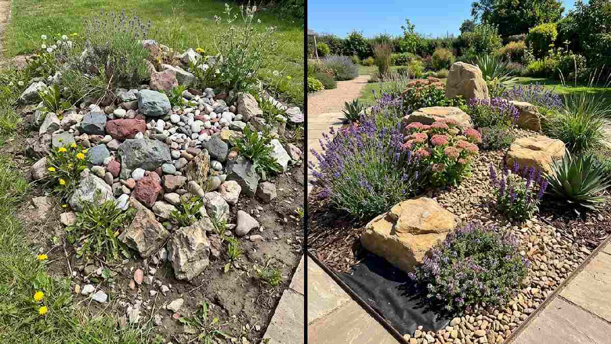 Clashing rock colors and weedy gaps versus a cohesive planned rock garden showing common gardening rock design mistakes to avoid.

