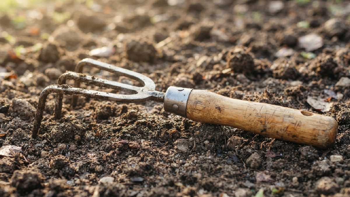 Barebones Cultivator on tilled soil