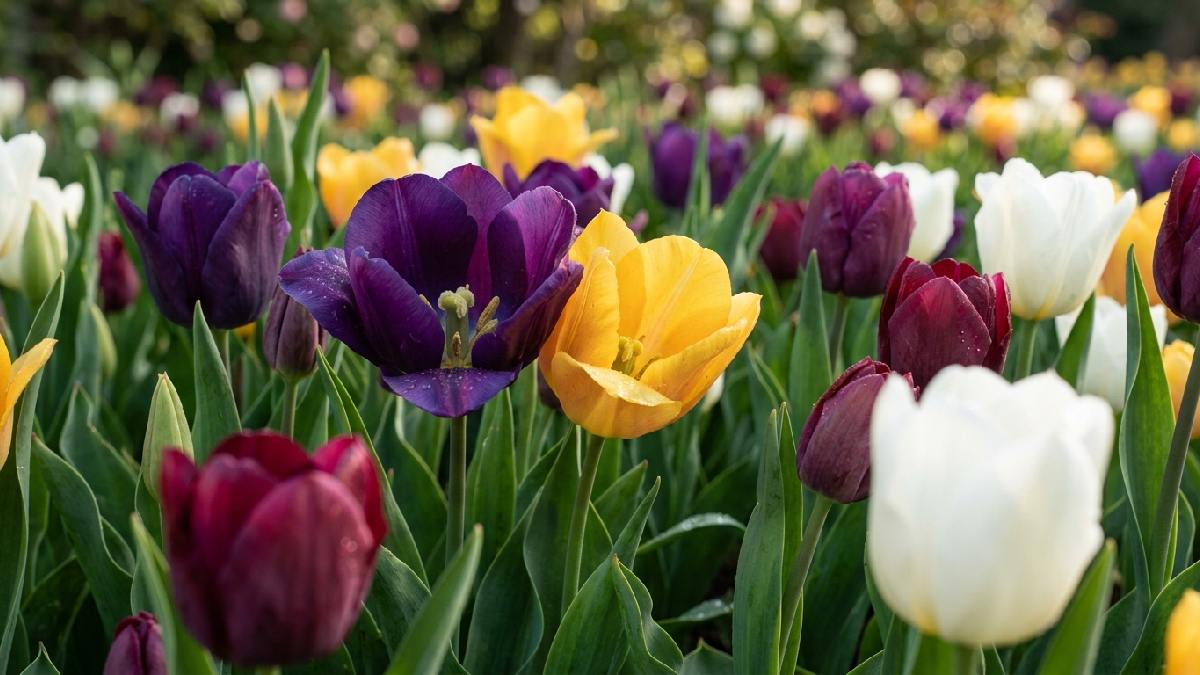 Color combinations worth trying